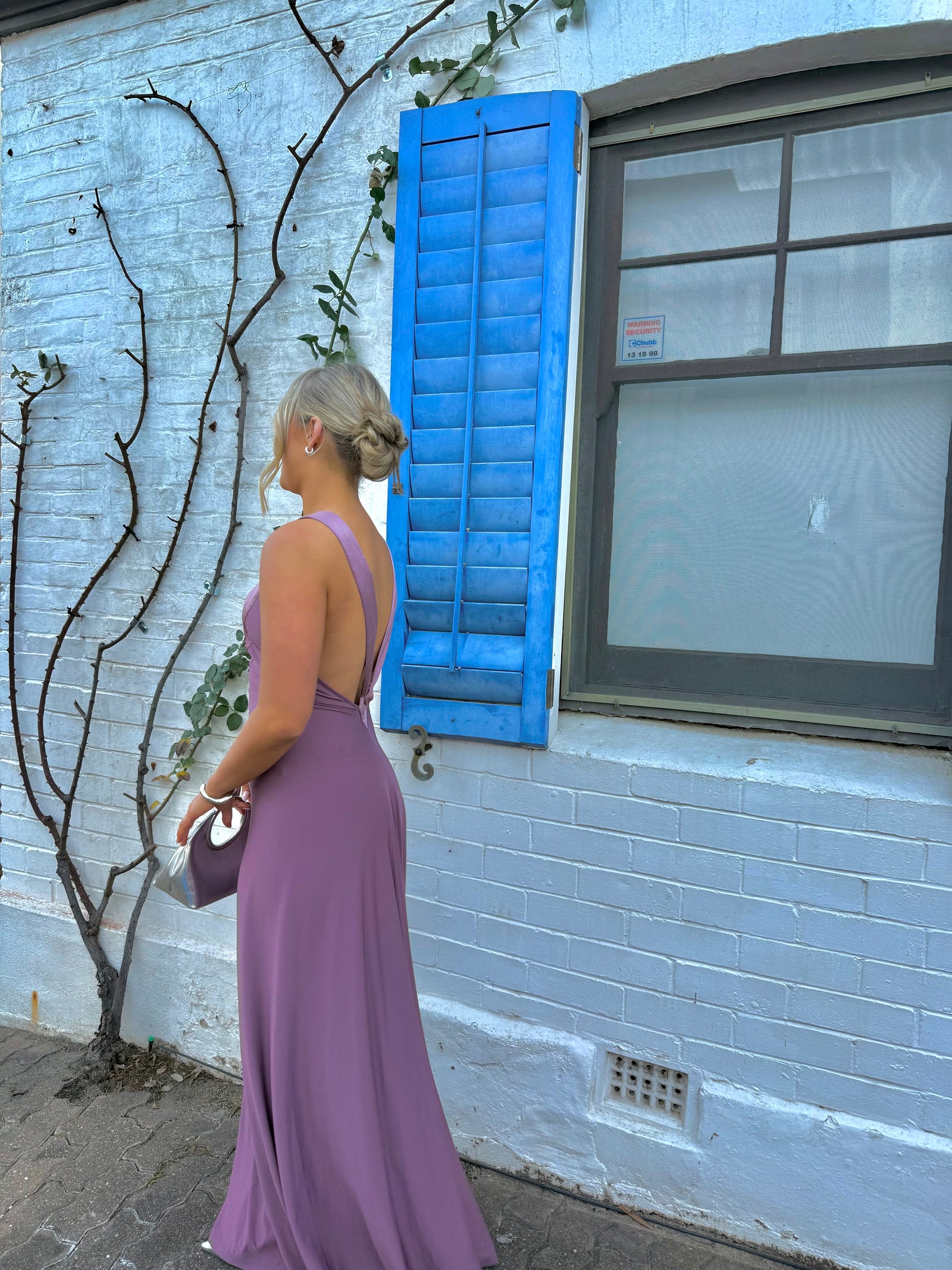 Ance Gria Rosa Gown In Mauve